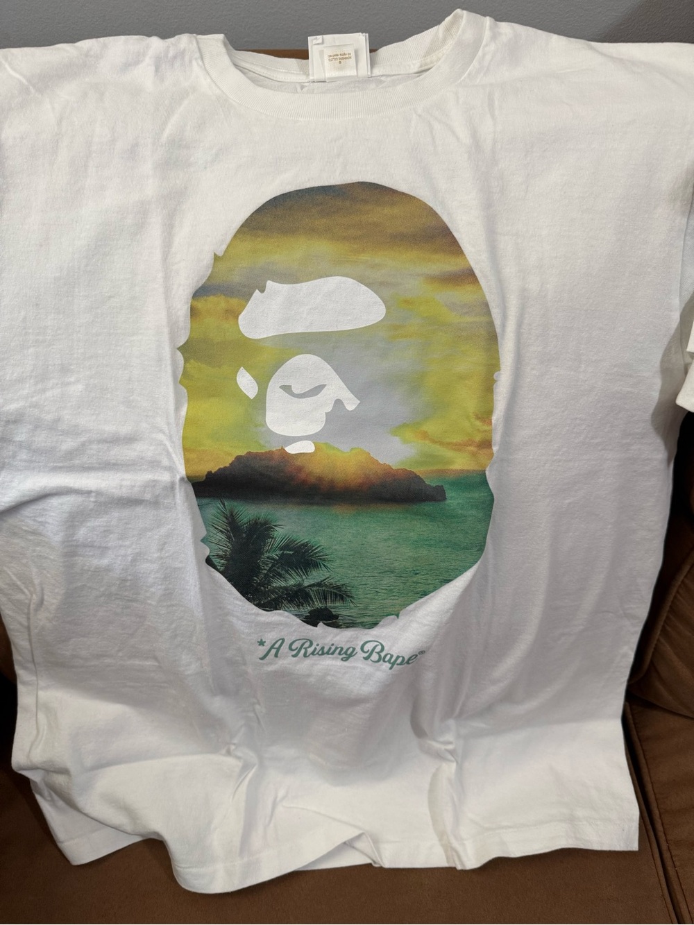 Bape A Rising Bape Photo Tee